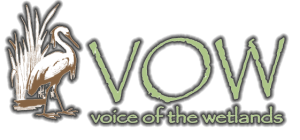 Tab Benoit started the Voice of the Wetlands to raise awareness about the importance of revitalizing the river system.