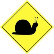 snail